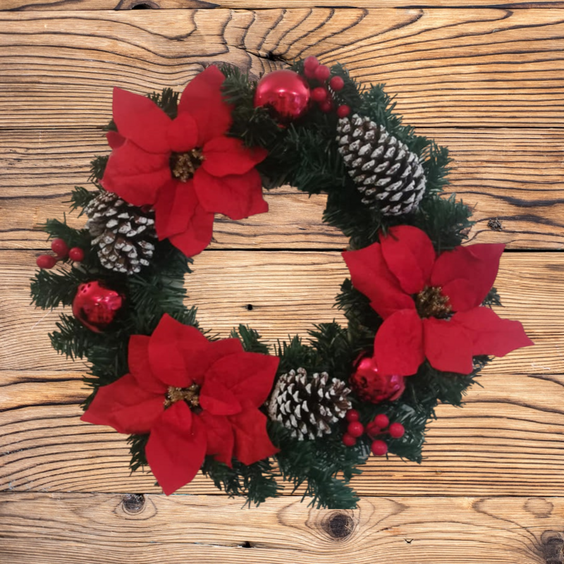 Poinsettia