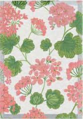 Pelargonia, Size: 35x50cm