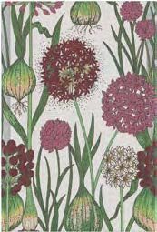 Allium, Size: 35x50