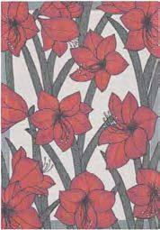 Amaryllis, Size: 35x50cm