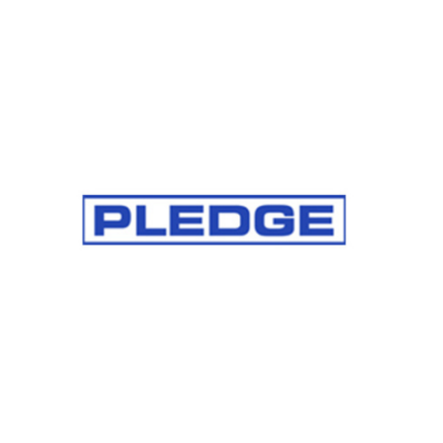 Second Hand - Pledge