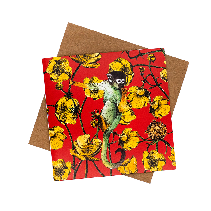 Monkey & Buttercups ...red