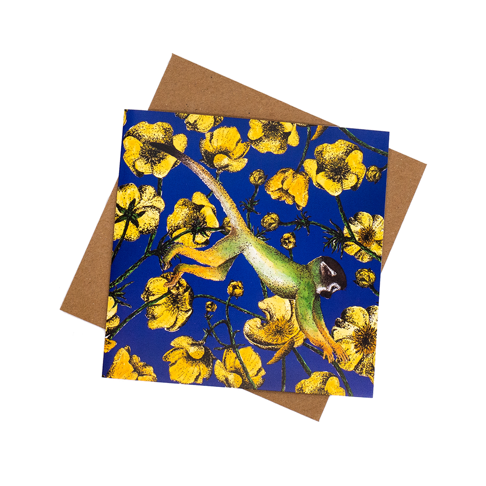 Monkey & Buttercups ...blue