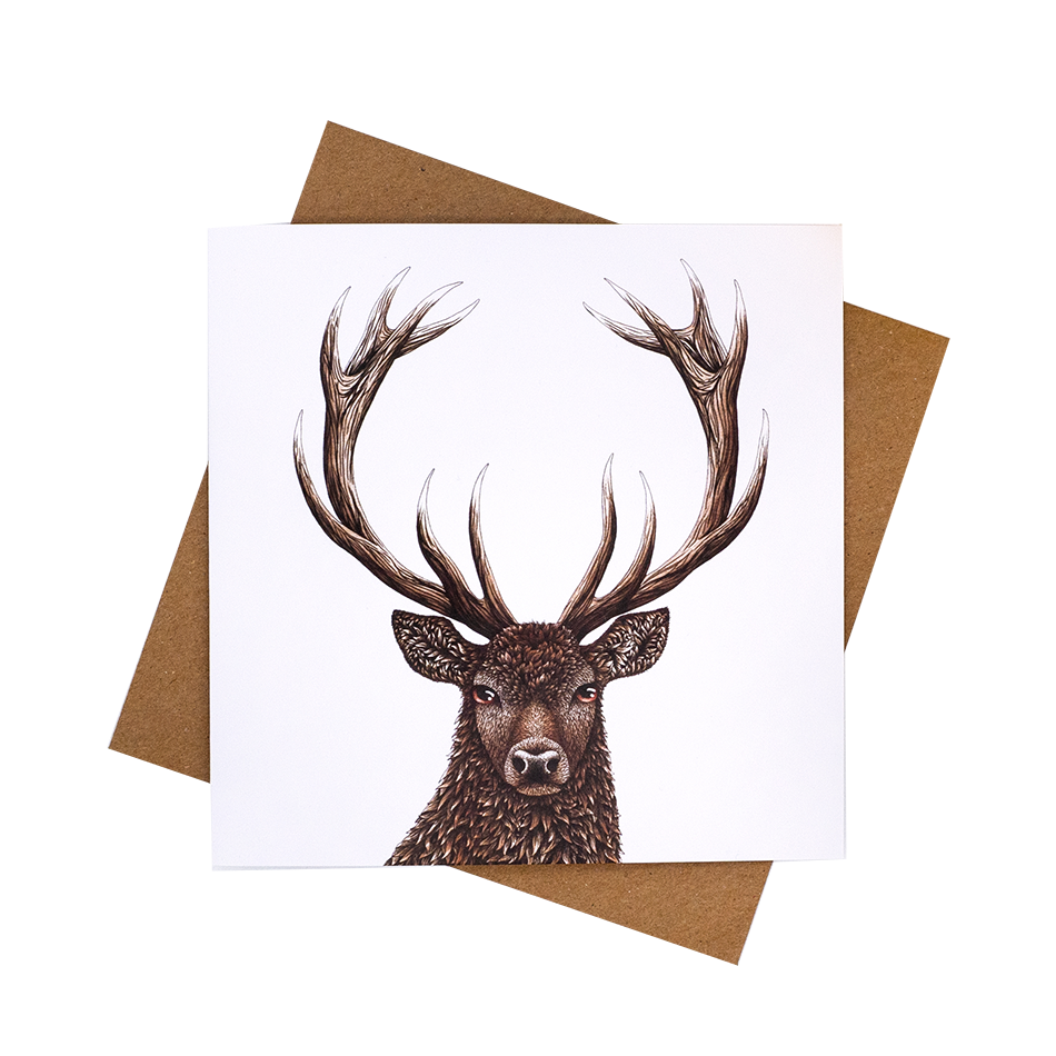 Stag