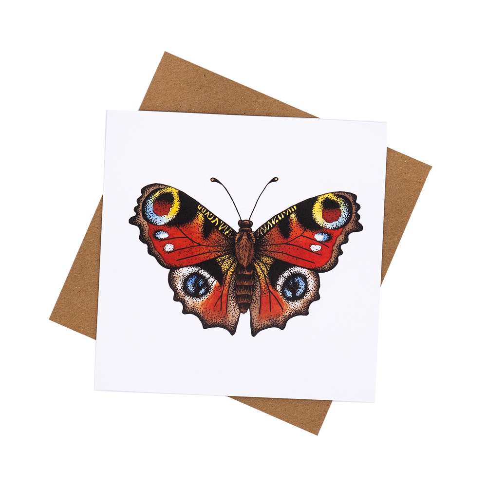 Peacock Butterfly