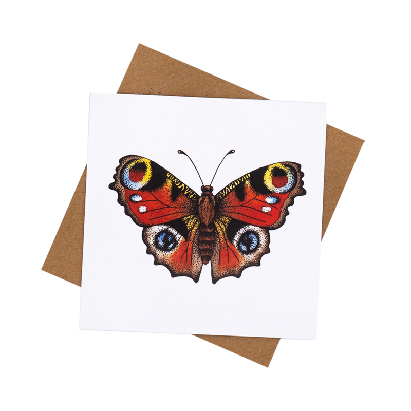 Peacock Butterfly