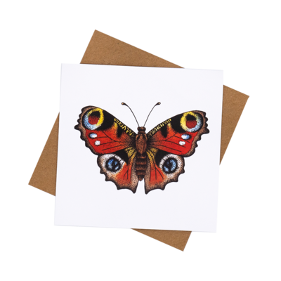 Peacock Butterfly