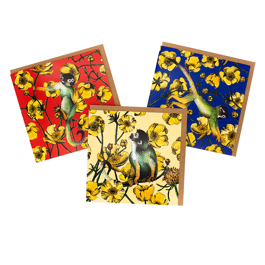 Monkeys & Buttercups ...pack of three