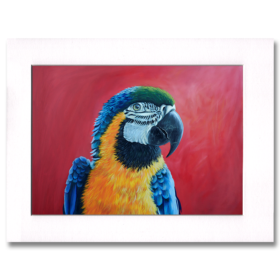 The Blue And Yellow Macaw Print
