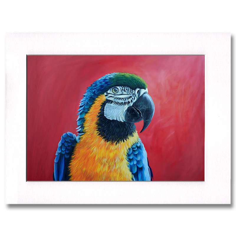 The Blue And Yellow Macaw Print