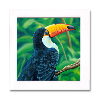Toucan Print