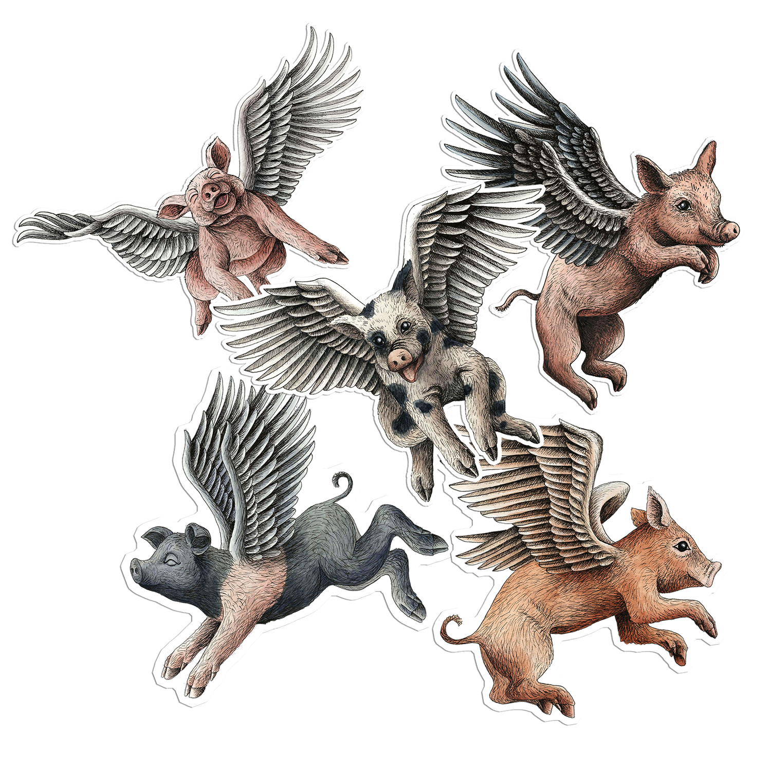 Flying Pigs ...sticker pack