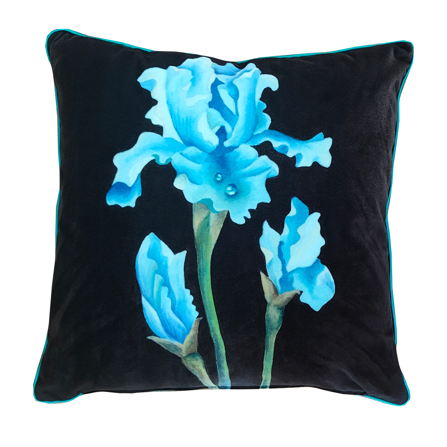 Iris Soft Velvet Cushion
