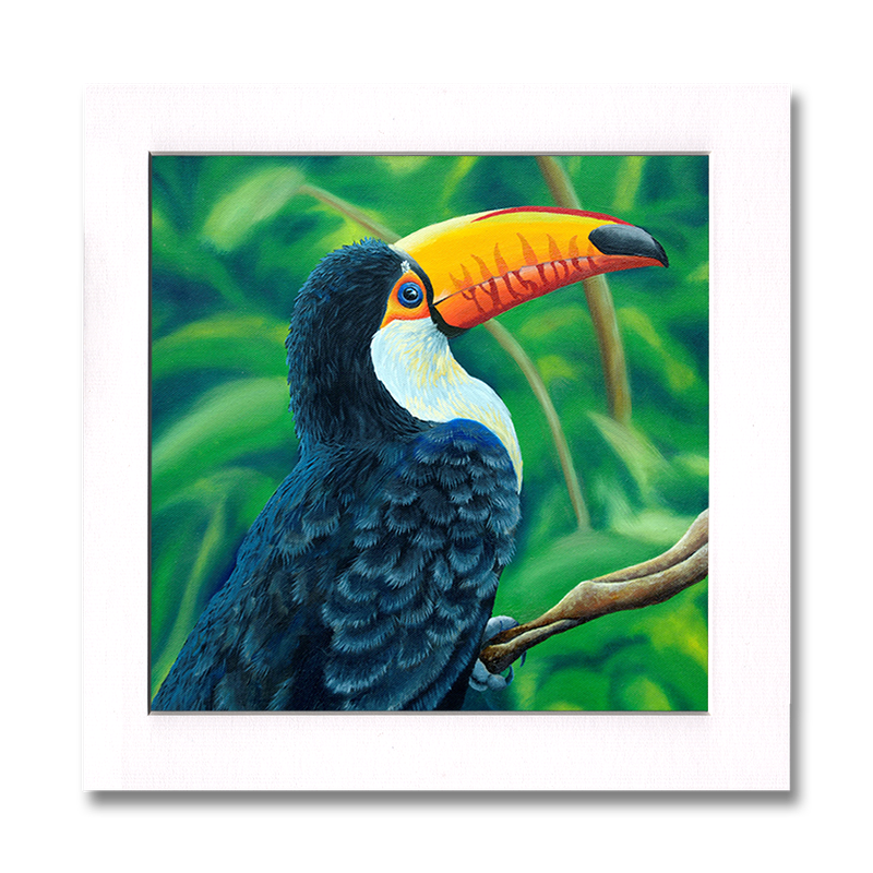 Toucan Print