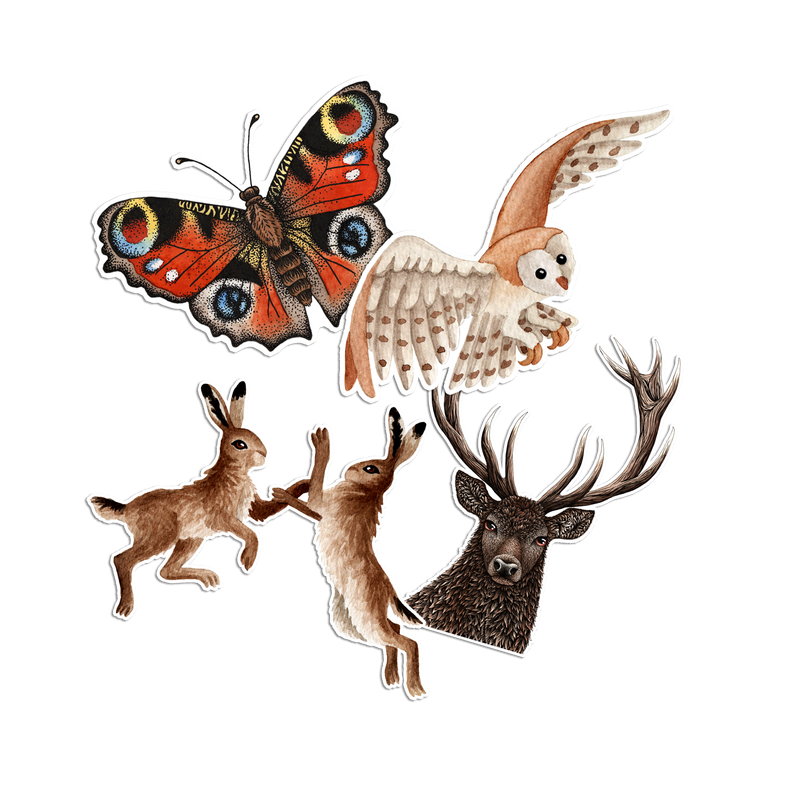 Woodland Walk ...sticker pack