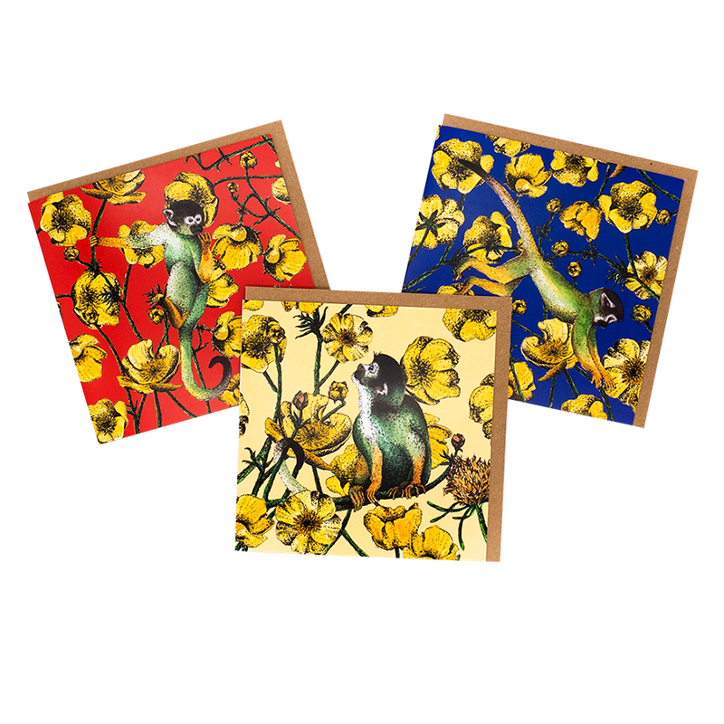 Monkeys & Buttercups ...pack of three