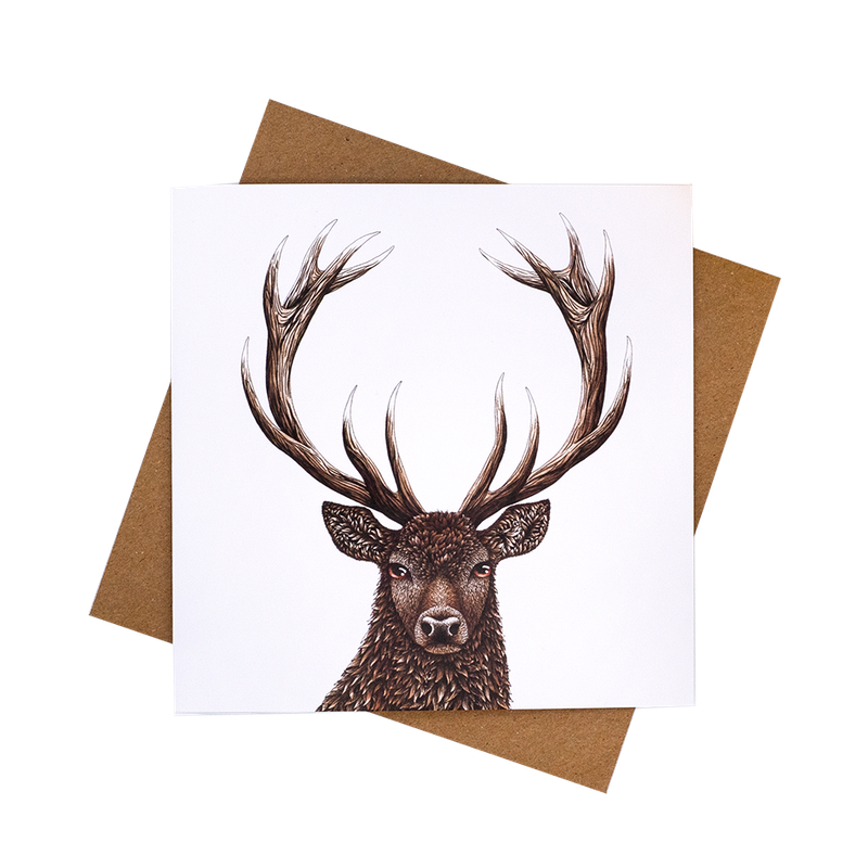 Stag