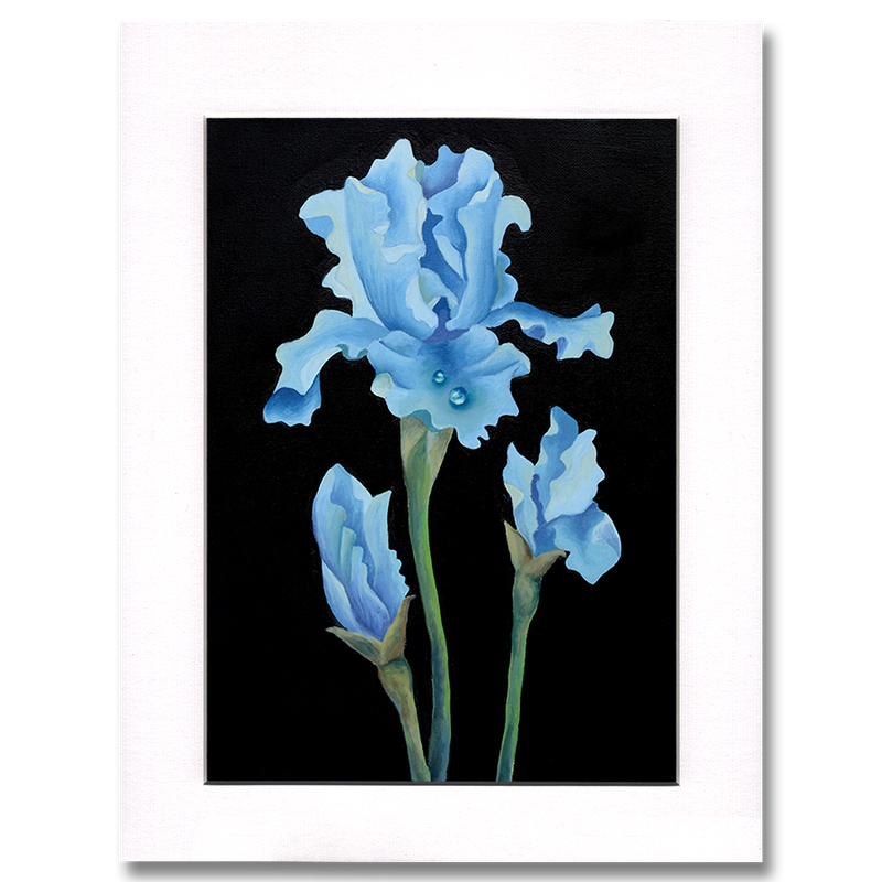 Blue Iris Print
