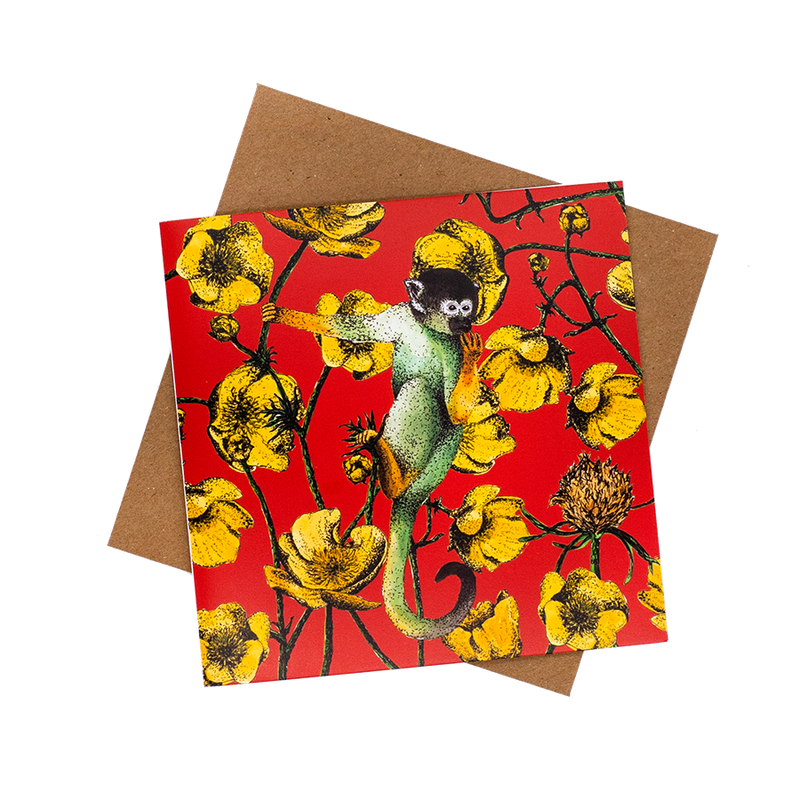 Monkey & Buttercups ...red