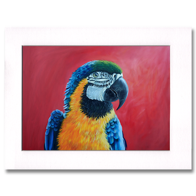 The Blue And Yellow Macaw Print