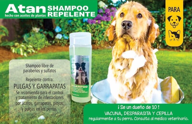 SHAMPOO REPELENTE