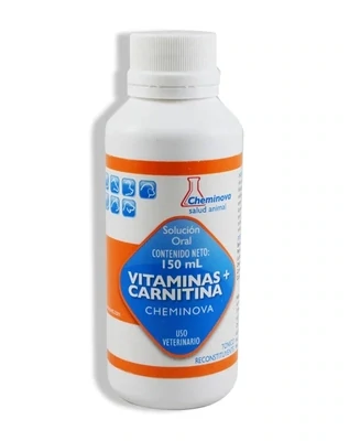 VITAMINAS + CARNITINA 150ML