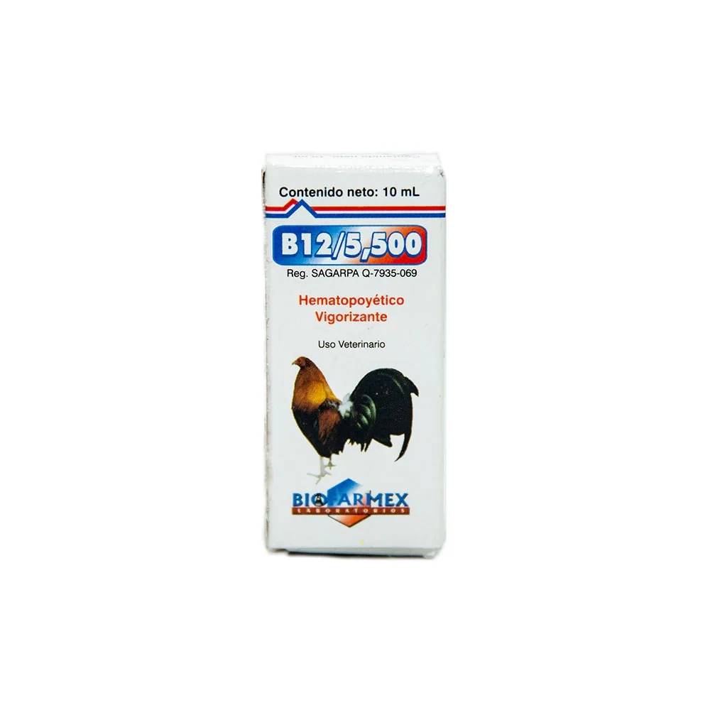 B12/5500 10ML
