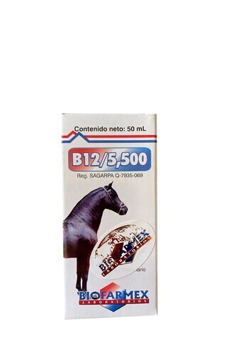 B12/5500 50 ML