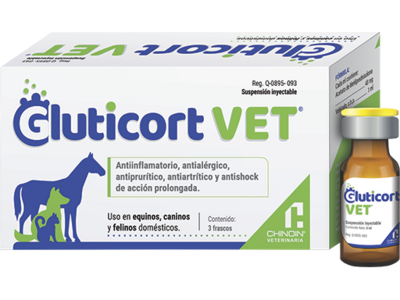 GLUTICORT VET 3 FRASCOS