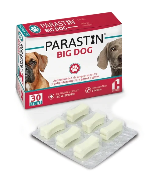 PARASTIN BIG DOG 6 TABLETAS