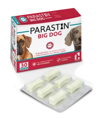 PARASTIN BIG DOG 6 TABLETAS