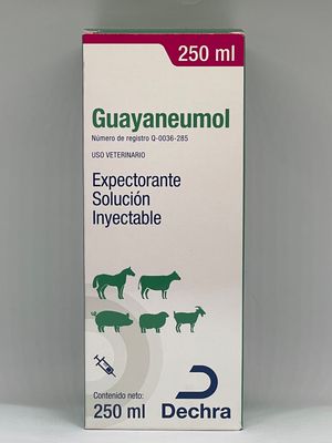 GUAYANEUMOL 250 ML