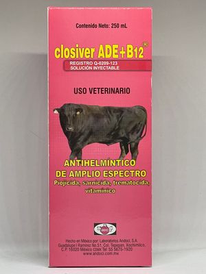 CLOSIVER ADE + B12 250 ML