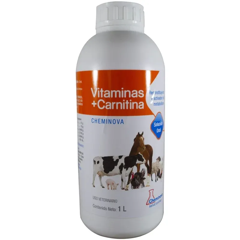 VITAMINAS + CARNITINA 1L