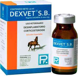 DEXVET S.B. 10 ML