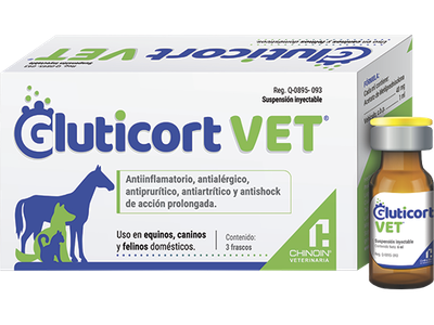 GLUTICORT VET 3 FRASCOS