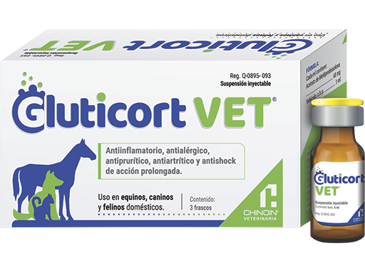 GLUTICORT VET 3 FRASCOS