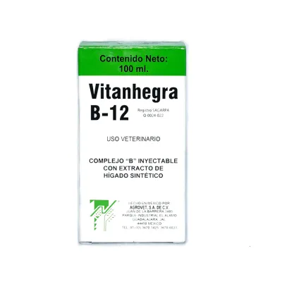 VITANHEGRA B12 100ML