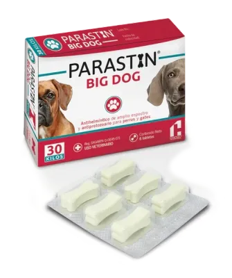 PARASTIN BIG DOG 6 TABLETAS