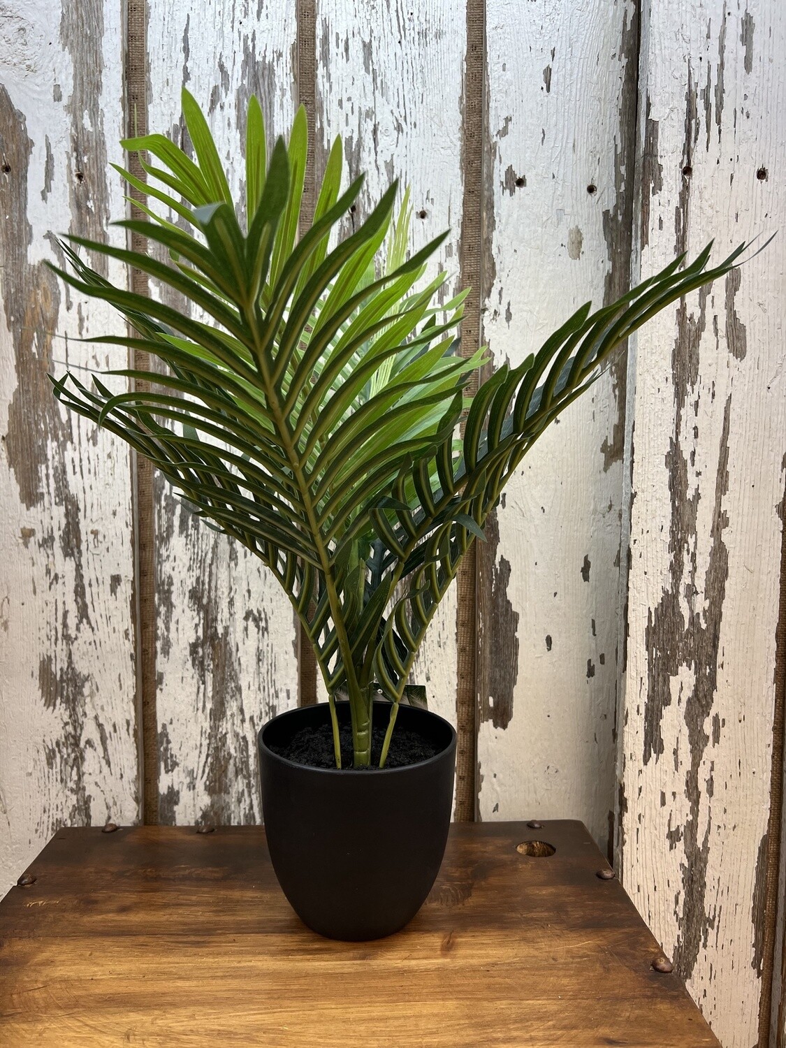 Home Decor Plant # I 9501