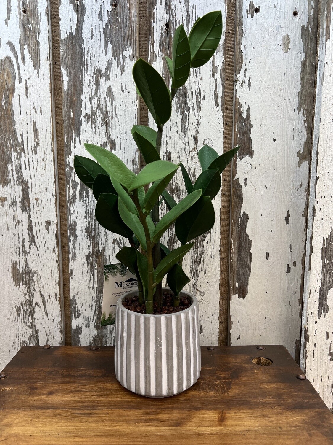 Fake Plant #I9500