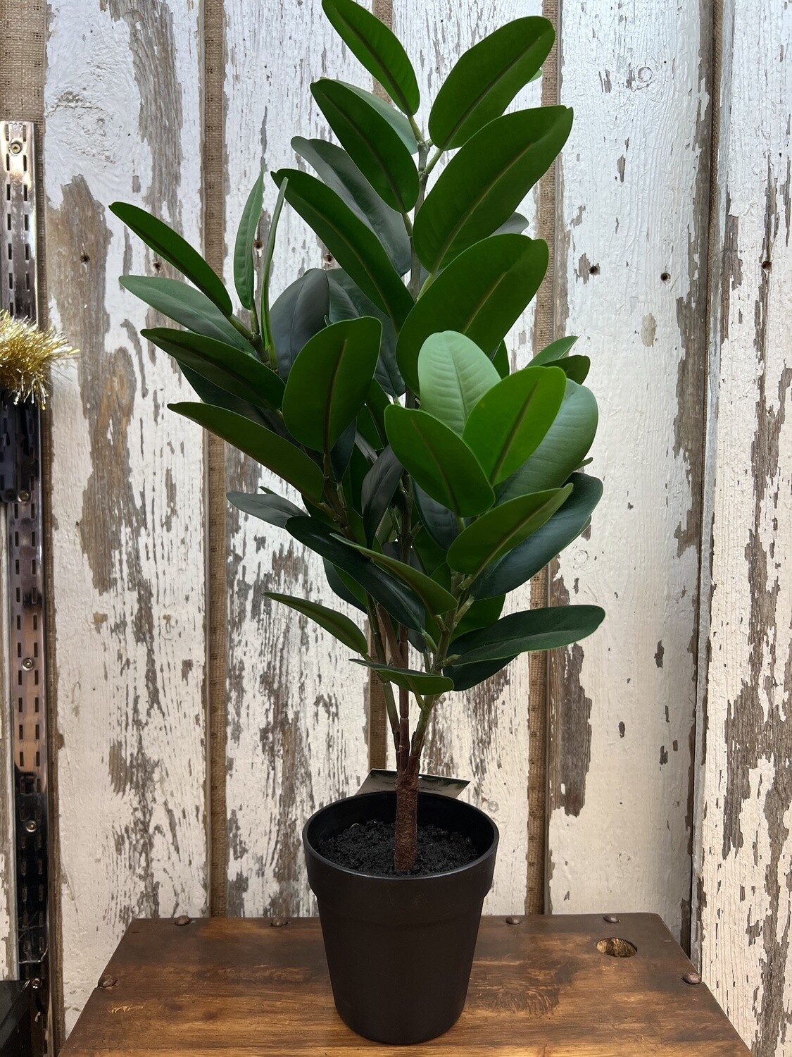 Home Decor Plant # I9504