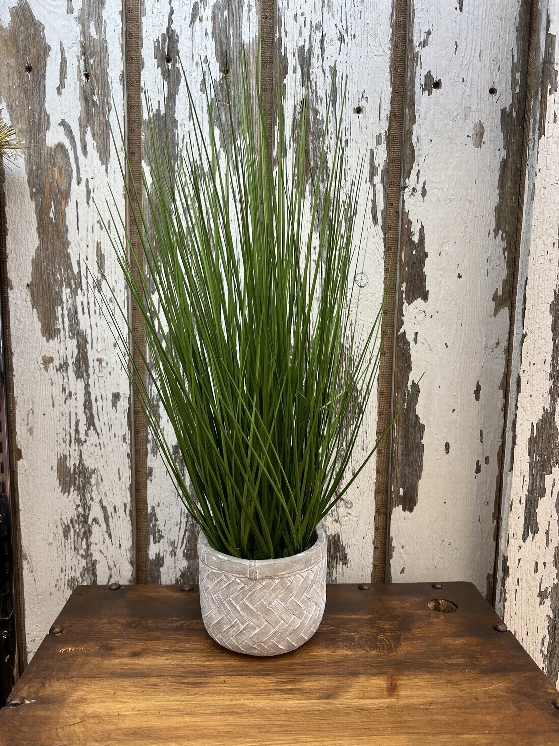 Home Decor Plant # I9574