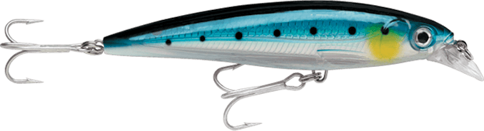 RAPALA SALTWATER X-RAP SXR-8, Colour: BLUE SARDINE