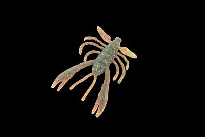 BERKLEY GULP ALIVE 2&#39;&#39; CRABBY CAMO