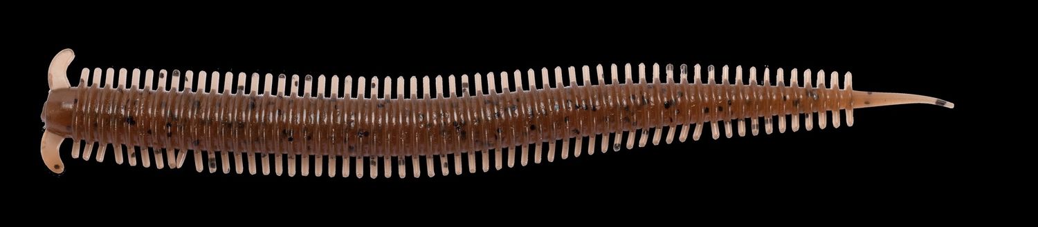 BERKLEY POWER BAIT SANDWORM 4&#39;&#39;, Colour: PUMPKINSEED