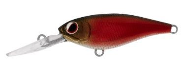DAIWA INFEET KODACHI 40SF, Colour: SHEER RED