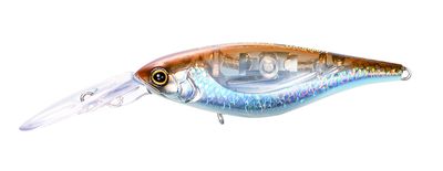 SHIMANO BANTAM ENBER 60mm