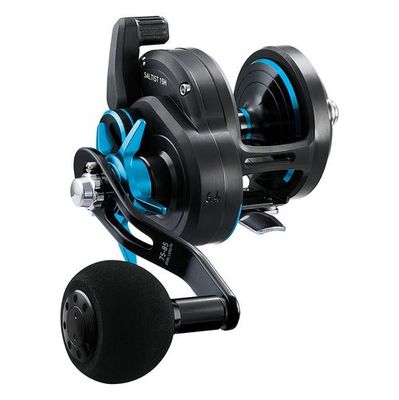 DAIWA 25 SALTIST SD 15