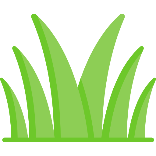 Artificial Grass